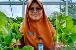 Transaksi perdagangan pasar tani Bangka Setara capai belasan juta