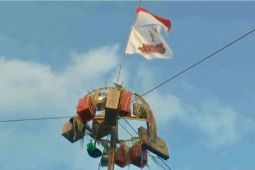Tumbuhkan nasionalisme, relawan Ganjar di Tuban gelar panjat pinang kemerdekaan