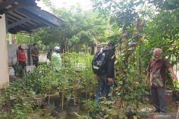 Menguatkan pertanian perkotaan dalam Gerakan Sumsel Mandiri Pangan