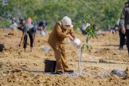Gubernur Khofifah: "Food Estate" Mangga di Gresik perkuat ketahanan pangan