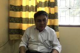 Luas kebun sagu menurun drastis tapi BRIN optimis dengan potensi ketahanan sagu di Maluku, begini sebabnya