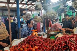 Konsumsi cabai di Jambi capai 25 ton perhari