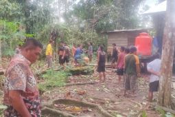 Tujuh rumah warga Sambus Kapuas Hulu rusak akibat angin puting beliung