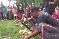 Lomba mengupas kelapa warnai HUT RI di  Muara Singoan Batanghari
