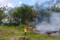 Kapuas Hulu siaga darurat kabut asap