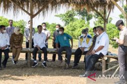 Sukodono Retention Basin Gresik to support food estates: minister