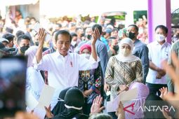 Presiden minta Menkes jaga gerbang masuk cegah cacar monyet