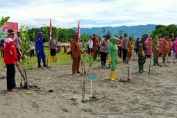 Wujudkan Aceh hijau, Polres tanam 3386 bibit pohon magrove di Pidie.