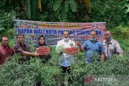 Pemkot Padang Sidempuan tekan inflasi melalui ketahanan pangan