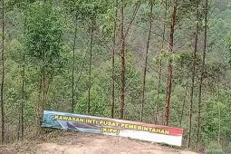 Pemerintah pusat diharapkan beri kompensasi lahan warga masuk KIPP IKN