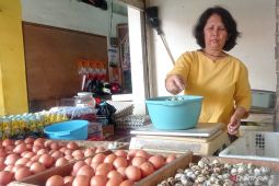 Harga telur ayam di Cianjur naik jadi Rp 35.000 per kg