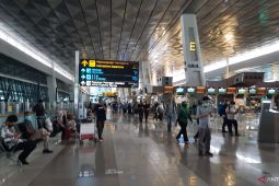 KKP perketat pengawasan penumpang di Bandara Soekarno Hatta