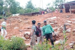 Tiga rumah di Perbukitan Aek Parambunan diterjang longsor