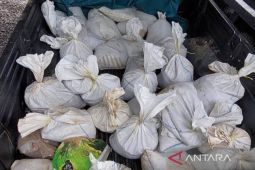 Dit Polairud Polda Babel tangkap tiga pelaku tambang ilegal di Kawasan Hutan Konservasi