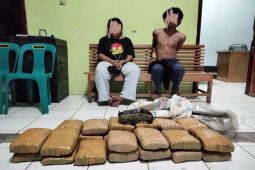 Terlibat kejar kejaran, polisi ringkus tersangka pembawa ganja