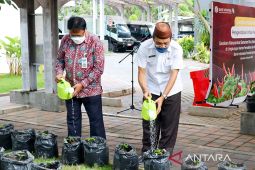 Bank Indonesia tanam cabai dukung pengendalian inflasi di Gorontalo