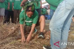 Warga Pondok Indah tanam pohon hijaukan lingkungan