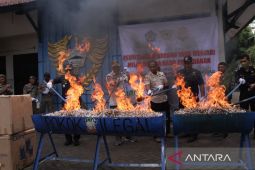 BC Jember dan Satpol PP Situbondo musnahkan 903 ribu batang rokok ilegal