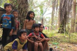 Pemprov-BPN Jambi lakukan upaya percepatan penyelesaian konflik lahan SAD