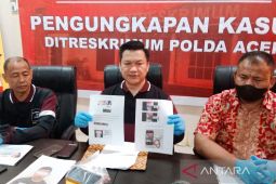 Polisi tangkap pembakar bendera merah putih