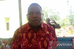 DPMK Manokwari: 20 persen dana kampung untuk ketahanan pangan