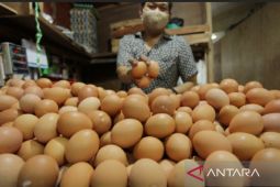 Karawang kaji penyebab kenaikan harga telur ayam