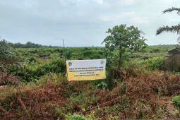 Pemdes Mega Timur dan BPN lakukan program redistribusi tanah