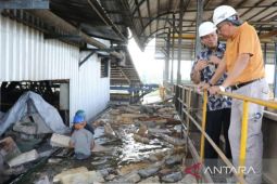 Kementerian ESDM dukung Babel kembangkan rumbia di lahan bekas tambang