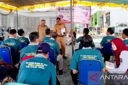 Pemerintah Bangka Tengah remajakan 500 hektare sawit masyarakat