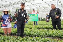 Mentan: Garut siap pasok 10 juta bibit kopi untuk seluruh Indonesia