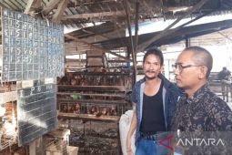 KPPU awasi kenaikan harga telur ayam yang dinilai tidak wajar