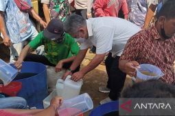 Harga telur di Kubu Raya alami kenaikan