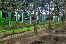 Satpol PP Paser intensifkan patroli pasca peristiwa pengeroyokan