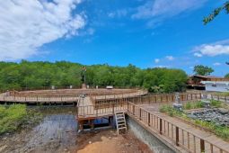 Indonesia focus on mangrove restoration, proves its G20 presidency commitment