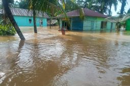 Ratusan rumah di Seluma terendam banjir