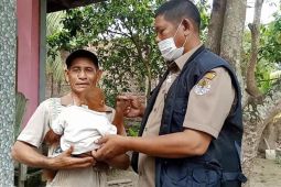 Warga Aceh Utara serahkan orang utan ke BKSDA
