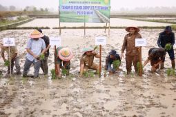 Jika petani terkendala,laporkan kata Pj Bupati Aceh Besar