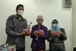 IPB tawarkan dua varietas bawang produktivitas tinggi atasi ketidakstabilan harga