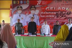 Pemerintah wujudkan pangan murah untuk masyarakat di Kapuas Hulu