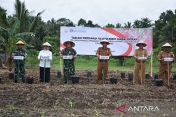 Korem 042/Gapu galakan penanaman 10.000 bibit cabai merah kendalikan inflasi