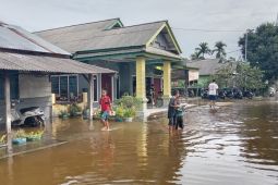 BPBD sebut 866 rumah di Seluma terendam banjir