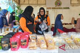 Pemprov Bangka Belitung dampingi pelaku UMKM baru