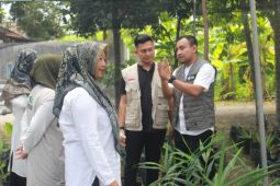 LKC Dompet Dhuafa Aceh kembangkan kebun tanaman obat keluarga