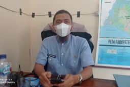 Pemkab Lebak upayakan pertanian palawija semakin meluas