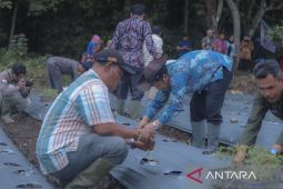 Irsan ajak petani Sidempuan tingkatkan  hasil pertanian