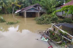 Kerugian akibat banjir di tujuh wilayah capai Rp148 miliar