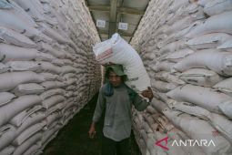 Realisasi penyaluran pupuk bersubsidi di Jawa Barat mencapai 402.715 ton