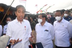 Presiden apresiasi potensi pangan Kepulauan Tanimbar diserap lokal