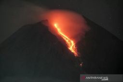 BPPTKG: Gunung Merapi 13 kali luncurkan guguran lava dalam sepekan