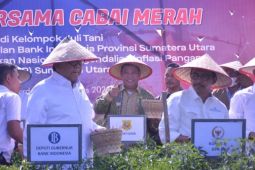 Bupati Dairi majukan  holtikultura